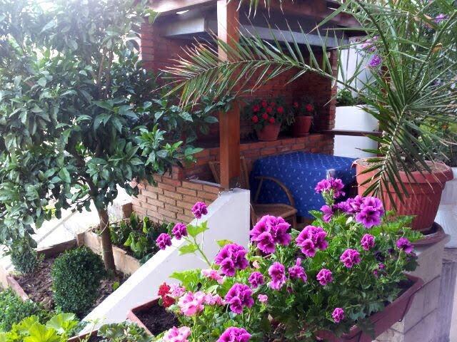 Firenze Apartments Ulcinj Esterno foto